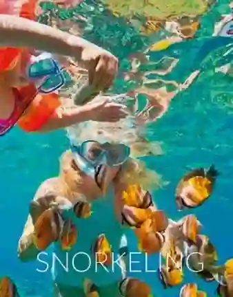 Snorkeling Tours in Cabo