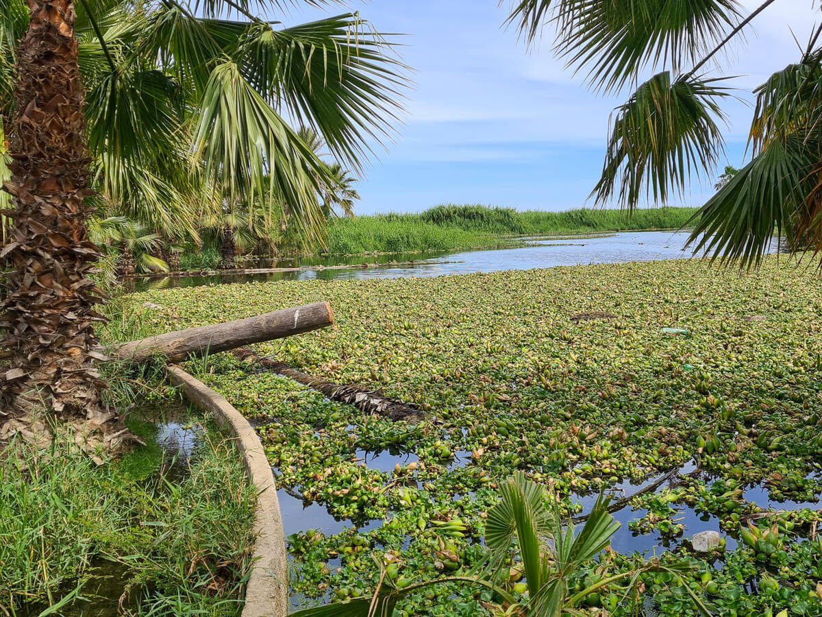 San José del Cabo City Tour — photo 2