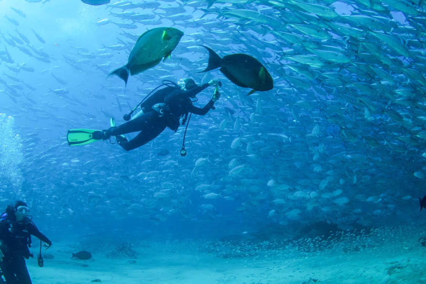 Cabo Pulmo City Tour